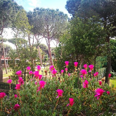 Casa Margherita Affittacamere B&B 福洛尼卡 外观 照片